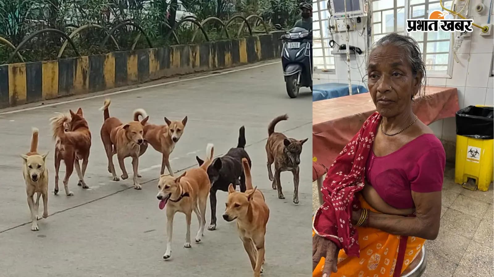 सदर अस्पताल में जख्मी महिला सदर अस्पताल में जख्मी महिला