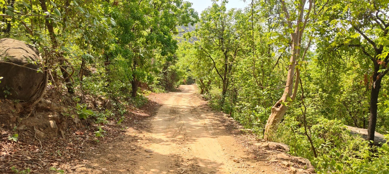 पर्यटक की डूबने से मौत के बाद कौराहा जलप्रपात अगले आदेश तक बंद पर्यटक की डूबने से मौत के बाद कौराहा जलप्रपात अगले आदेश तक बंद