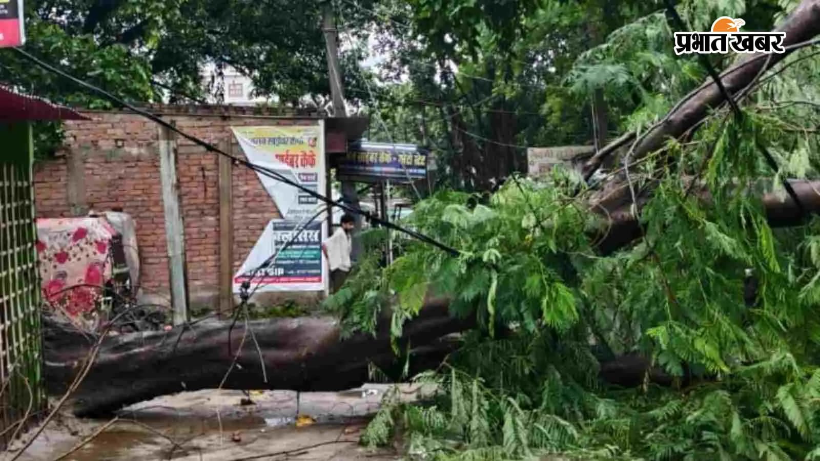 बारिश के दौरान सड़क पर गिरा पेड़, फोटो- प्रभात खबर बारिश के दौरान सड़क पर गिरा पेड़, फोटो- प्रभात खबर
