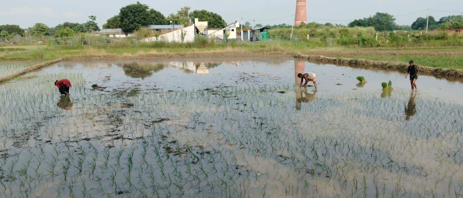 बादलों की आवाजाही व आंशिक बारिश से सुहाना बना हुआ है मौसम, अगले तीन-चार दिन बारिश के आसार