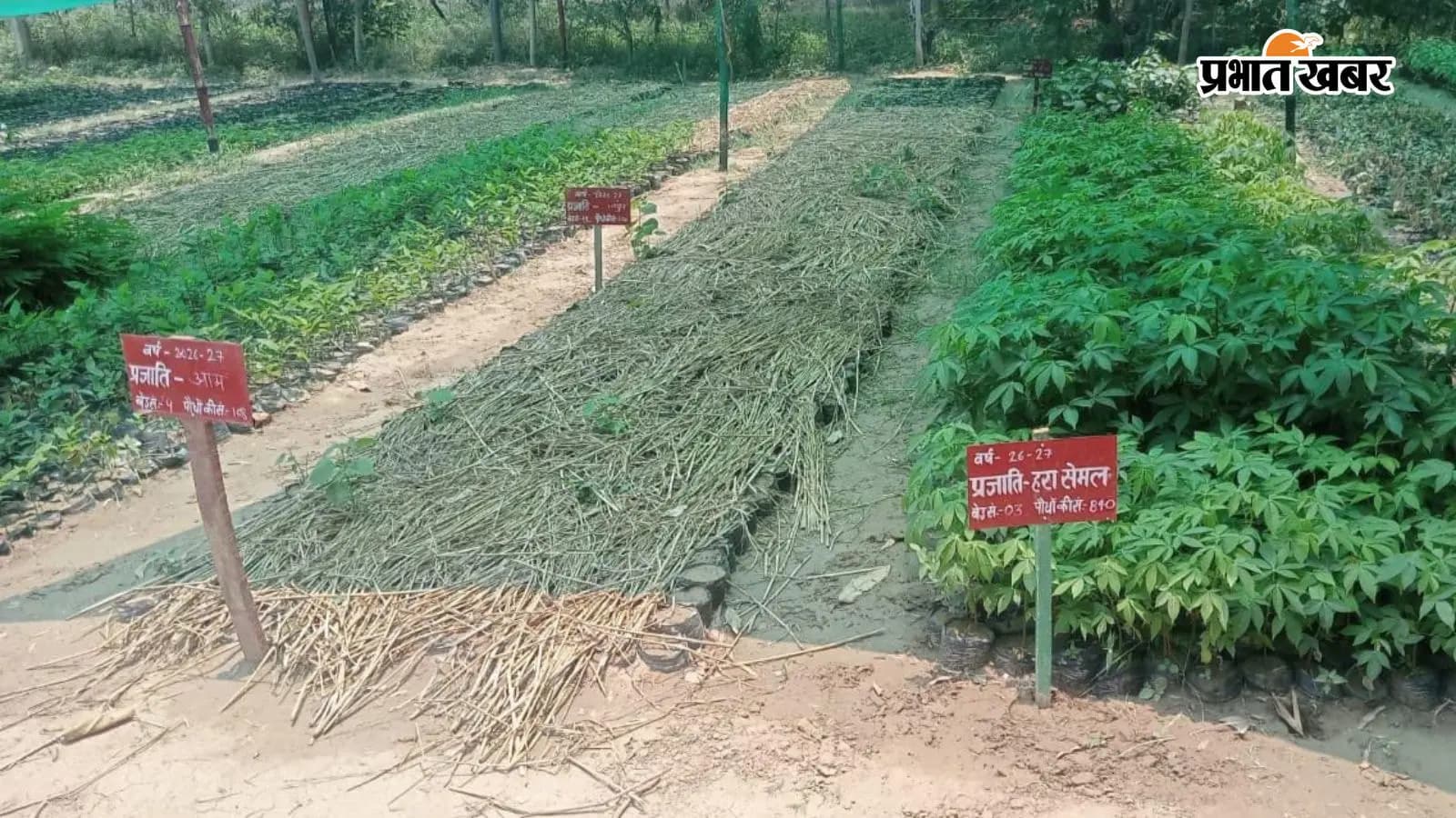 सांकेतिक तस्वीर सांकेतिक तस्वीर