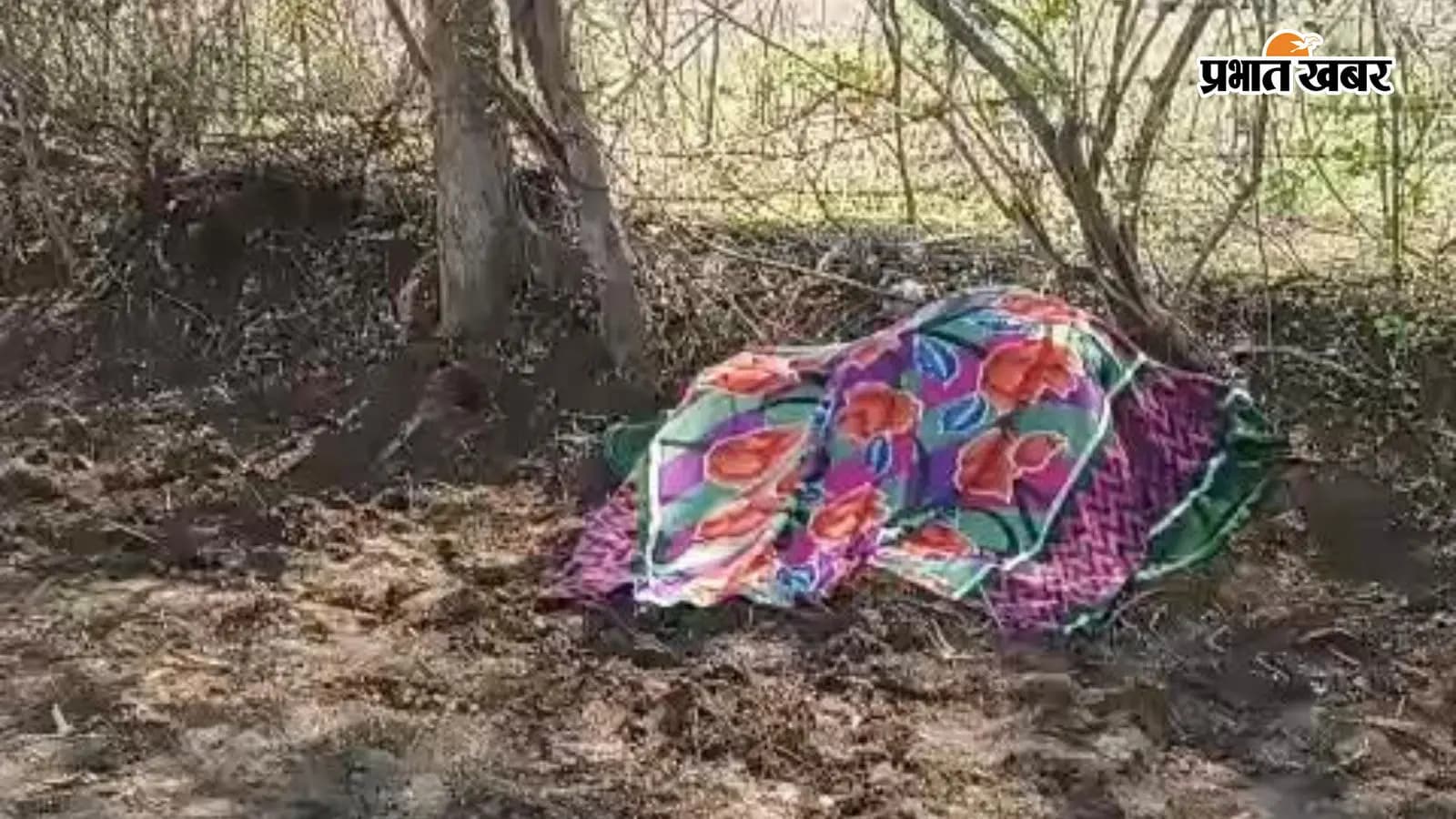 खेत में गिरे हाईटेंशन तार की चपेट में आने से महिला की मौत खेत में गिरे हाईटेंशन तार की चपेट में आने से महिला की मौत