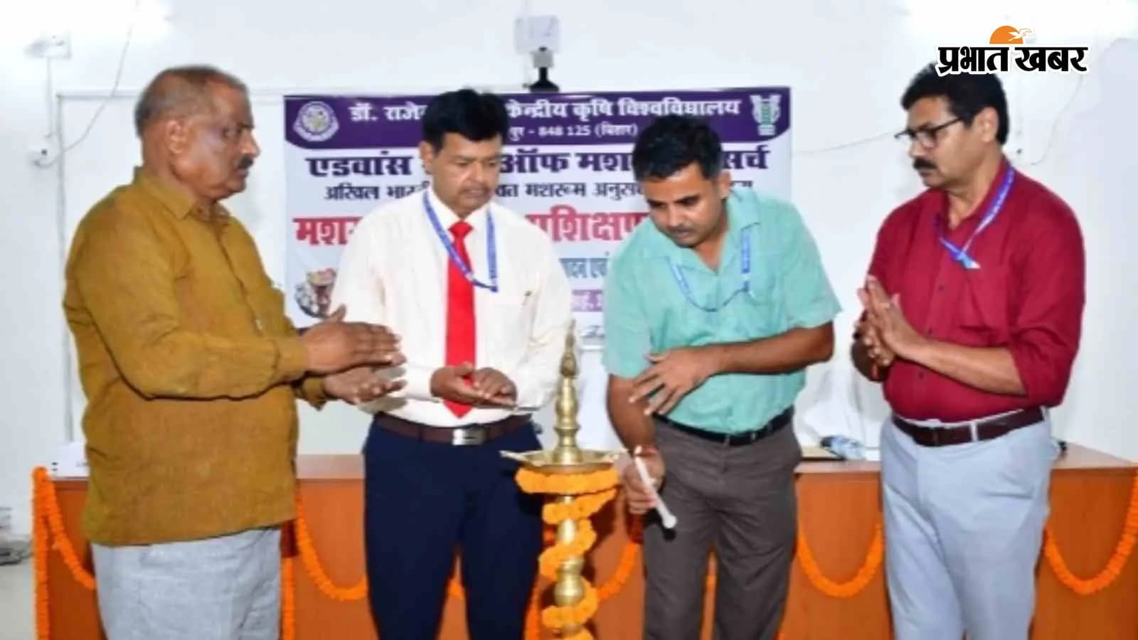 पुआल से मशरूम उगाएं: कम लागत, ज़्यादा कमाई पुआल से मशरूम उगाएं: कम लागत, ज़्यादा कमाई