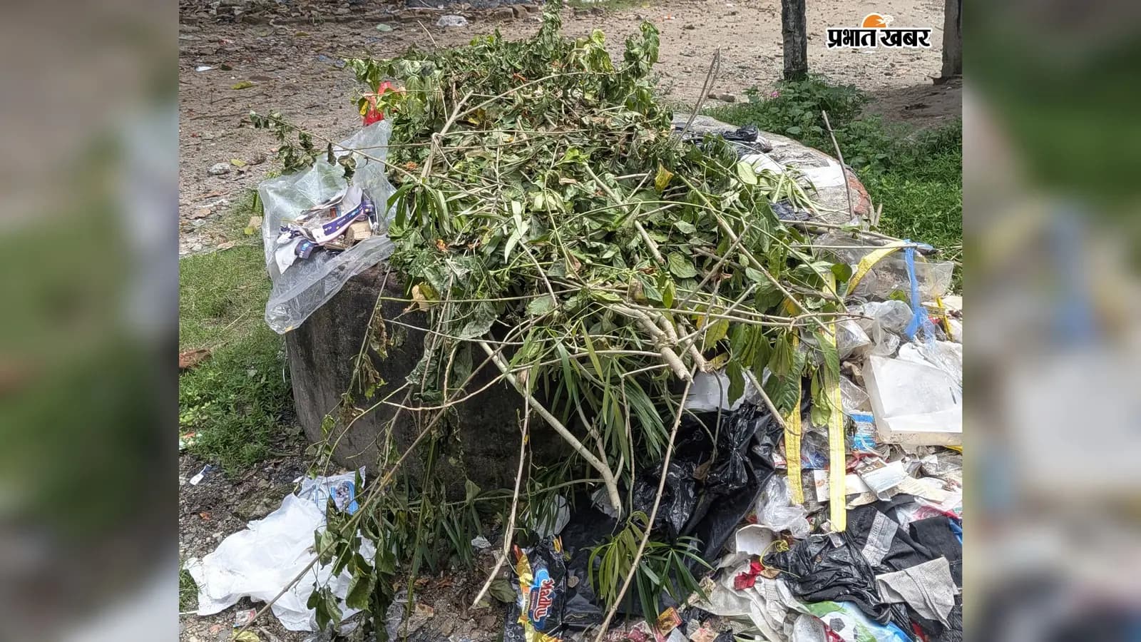 कचरे के ढेर से ढका सार्वजनिक कुआं कचरे के ढेर से ढका सार्वजनिक कुआं