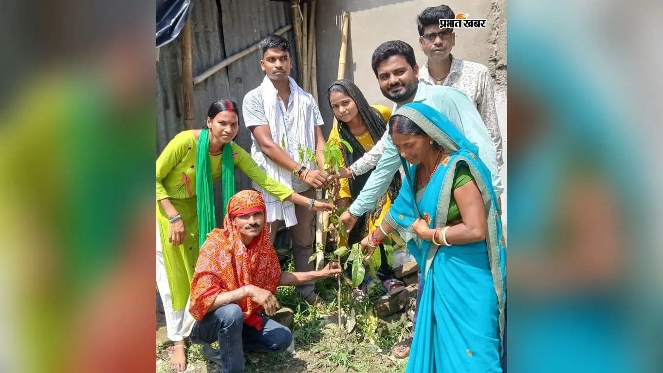 वृक्षारोपण कार्यक्रम वृक्षारोपण कार्यक्रम