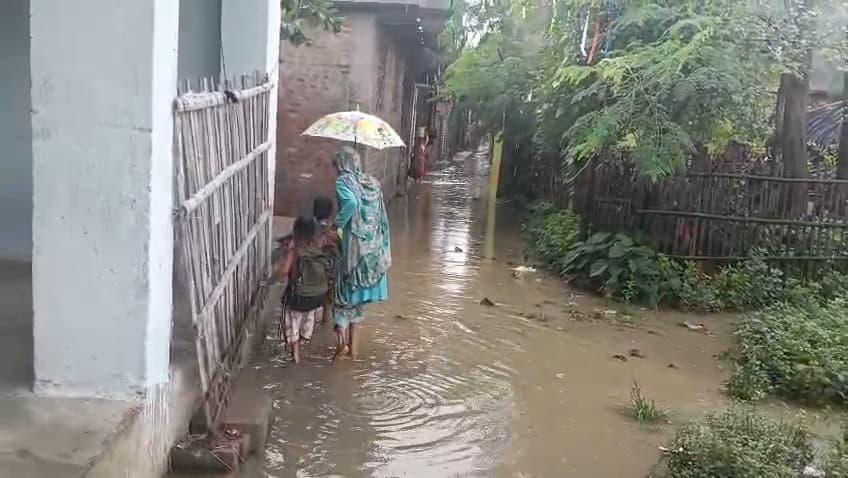 बारिश के बाद सिंगारपुर के वार्ड संख्या 09 में जलजमाव की समस्या से जूझ रहें ग्रामीण बारिश के बाद सिंगारपुर के वार्ड संख्या 09 में जलजमाव की समस्या से जूझ रहें ग्रामीण