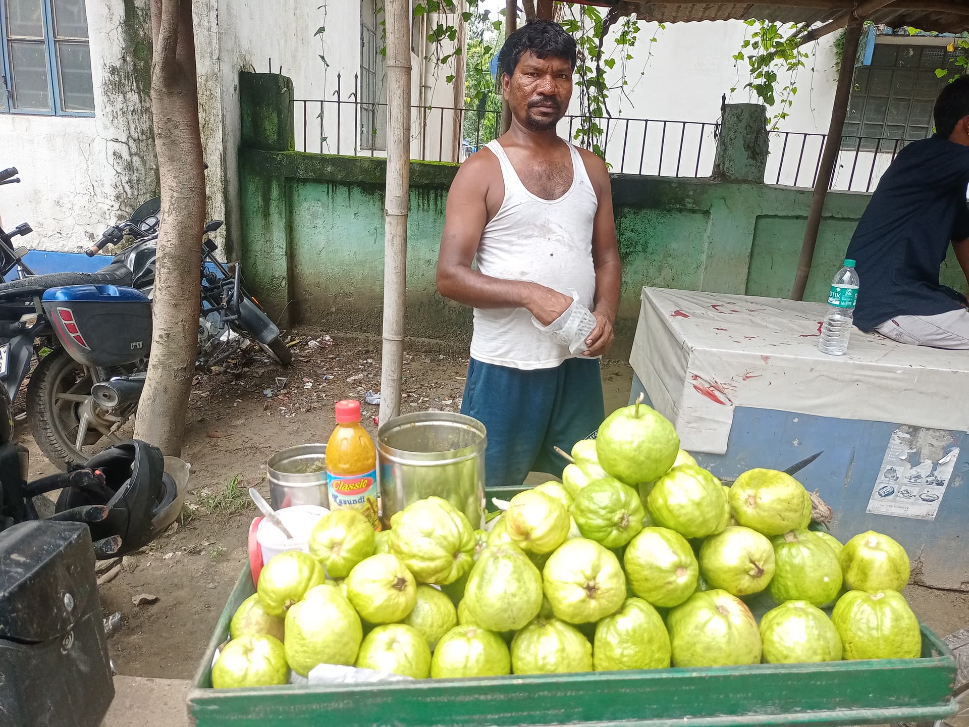 हेडलाइन: कोलकाता से आए हाइब्रिड अमरूद की बिक्री तेज, सेहत के लिए फायदेमंद हेडलाइन: कोलकाता से आए हाइब्रिड अमरूद की बिक्री तेज, सेहत के लिए फायदेमंद