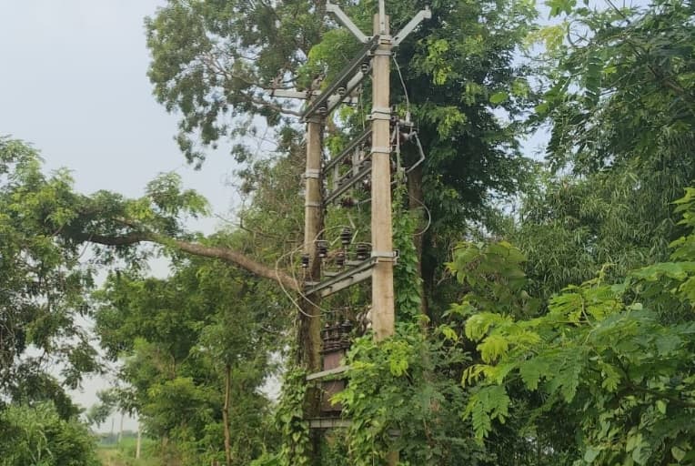 6 महीने से ठप कृषि बिजली लाइन, सैकड़ों किसानों की बनी परेशानी; सरकार के दावों पर उठे सवाल 6 महीने से ठप कृषि बिजली लाइन, सैकड़ों किसानों की बनी परेशानी; सरकार के दावों पर उठे सवाल