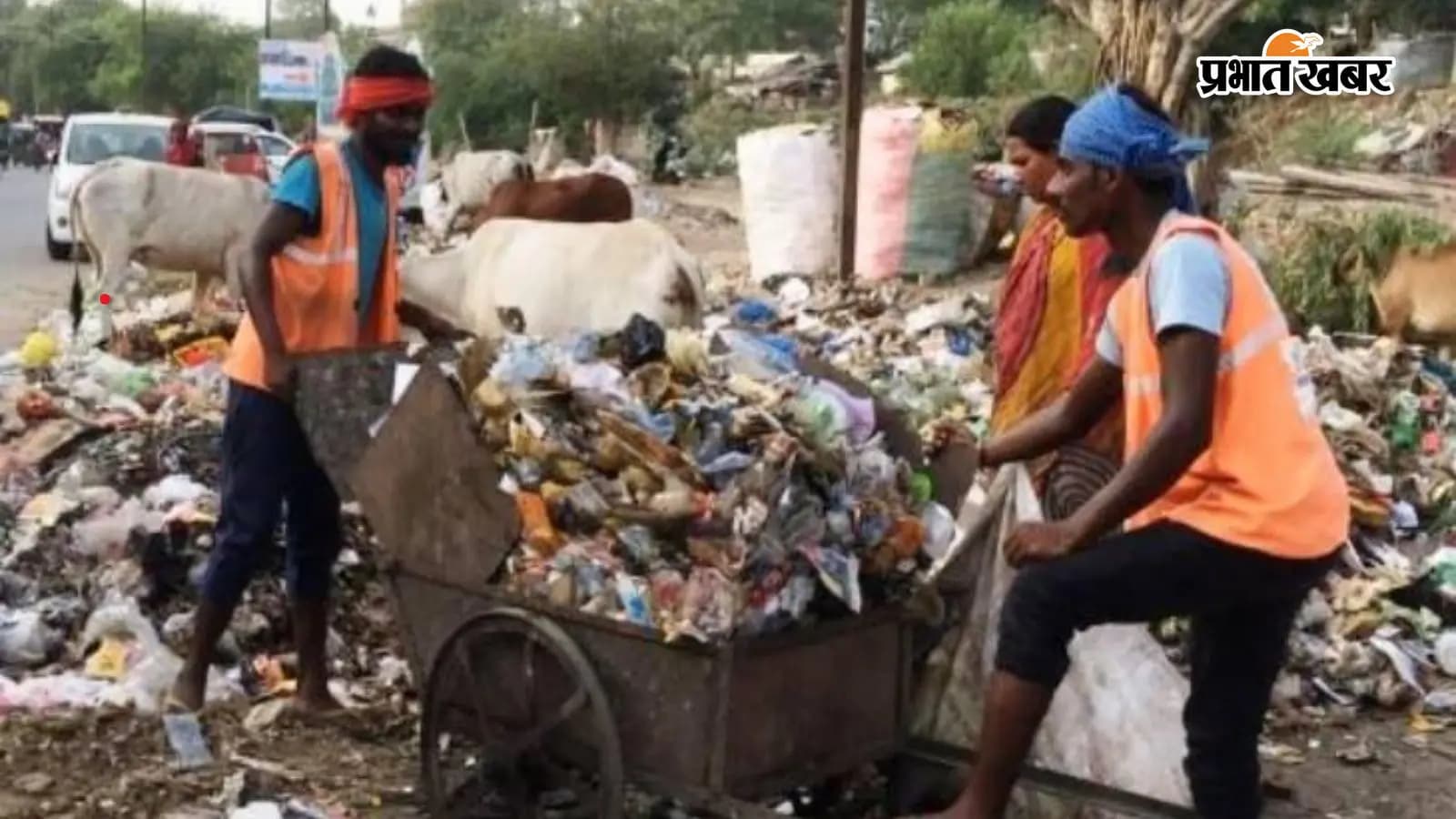 सांकेतिक तस्वीर सांकेतिक तस्वीर
