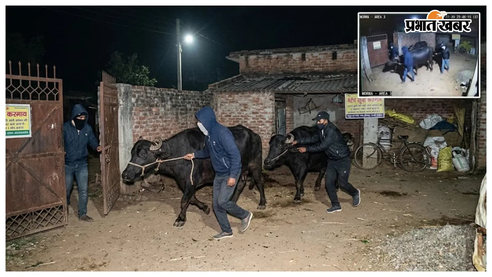 प्रतीकात्मक AI तस्वीर प्रतीकात्मक AI तस्वीर