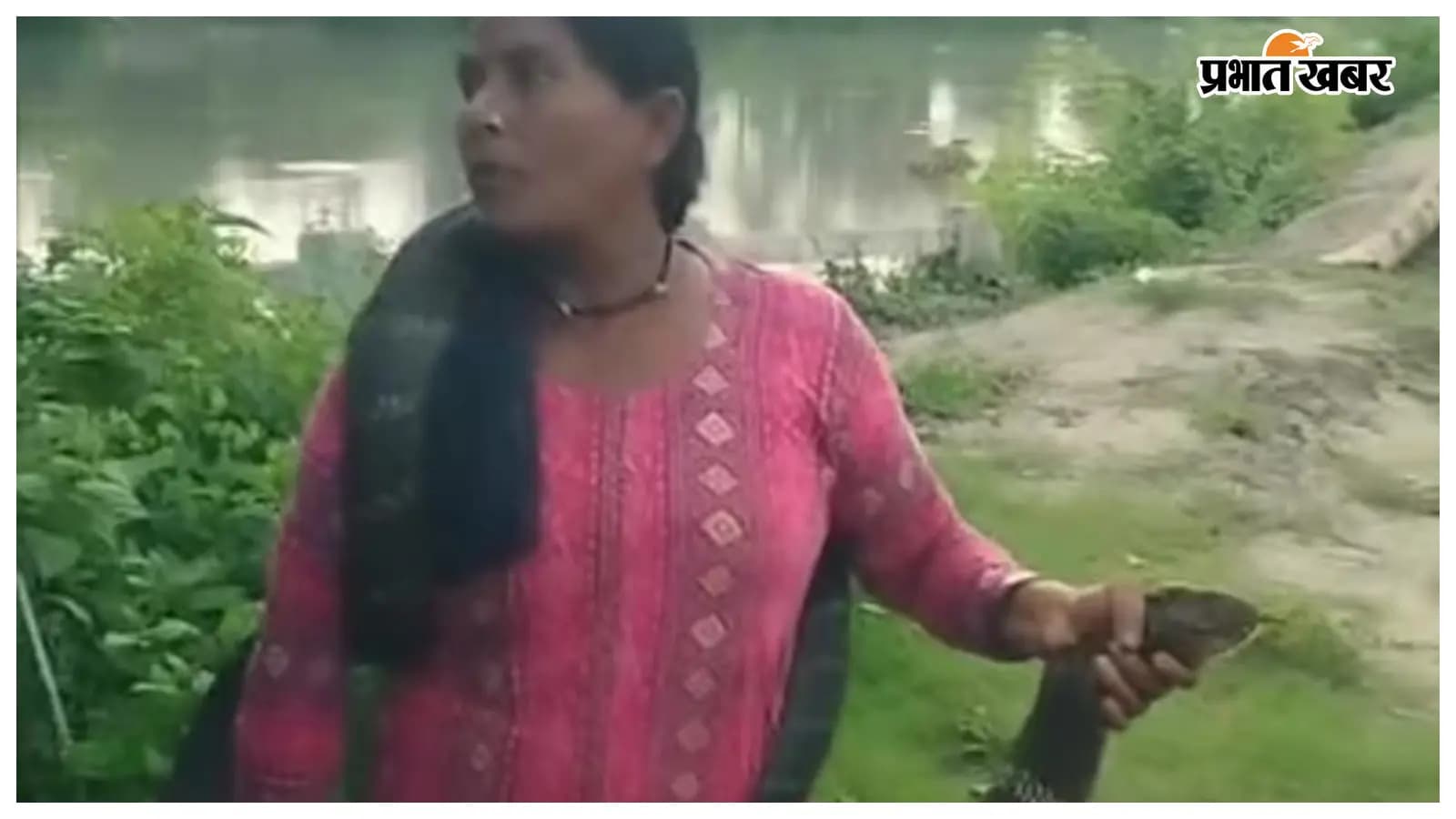 किंग कोबरा का रेस्क्यू करती जानकी देवी किंग कोबरा का रेस्क्यू करती जानकी देवी