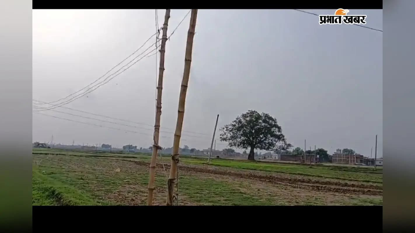 बांस के सहारे खेतों तक गयी बिजली बांस के सहारे खेतों तक गयी बिजली