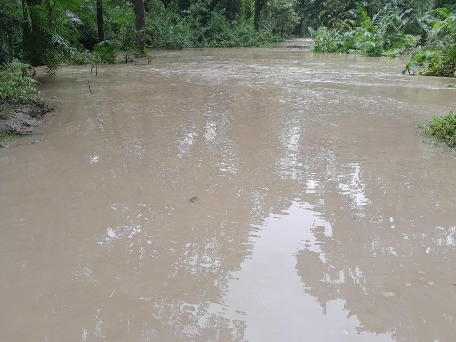 दलदल में तब्दील हुआ चकदहवा मार्ग दलदल में तब्दील हुआ चकदहवा मार्ग