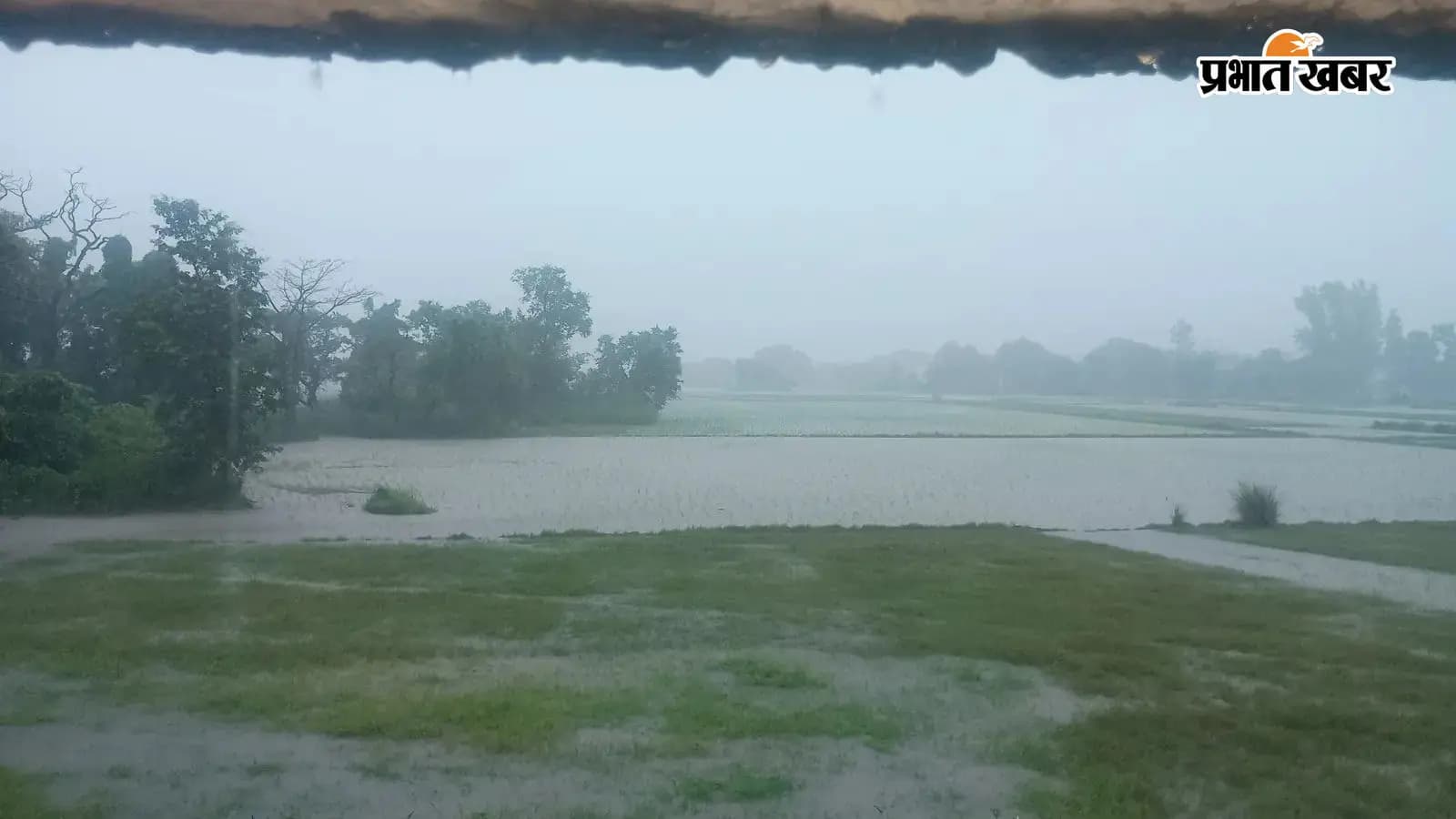 सीवान में झमाझम बारिश से किसानों के खिले चेहरे, धान की रोपनी 50 प्रतिशत के पार