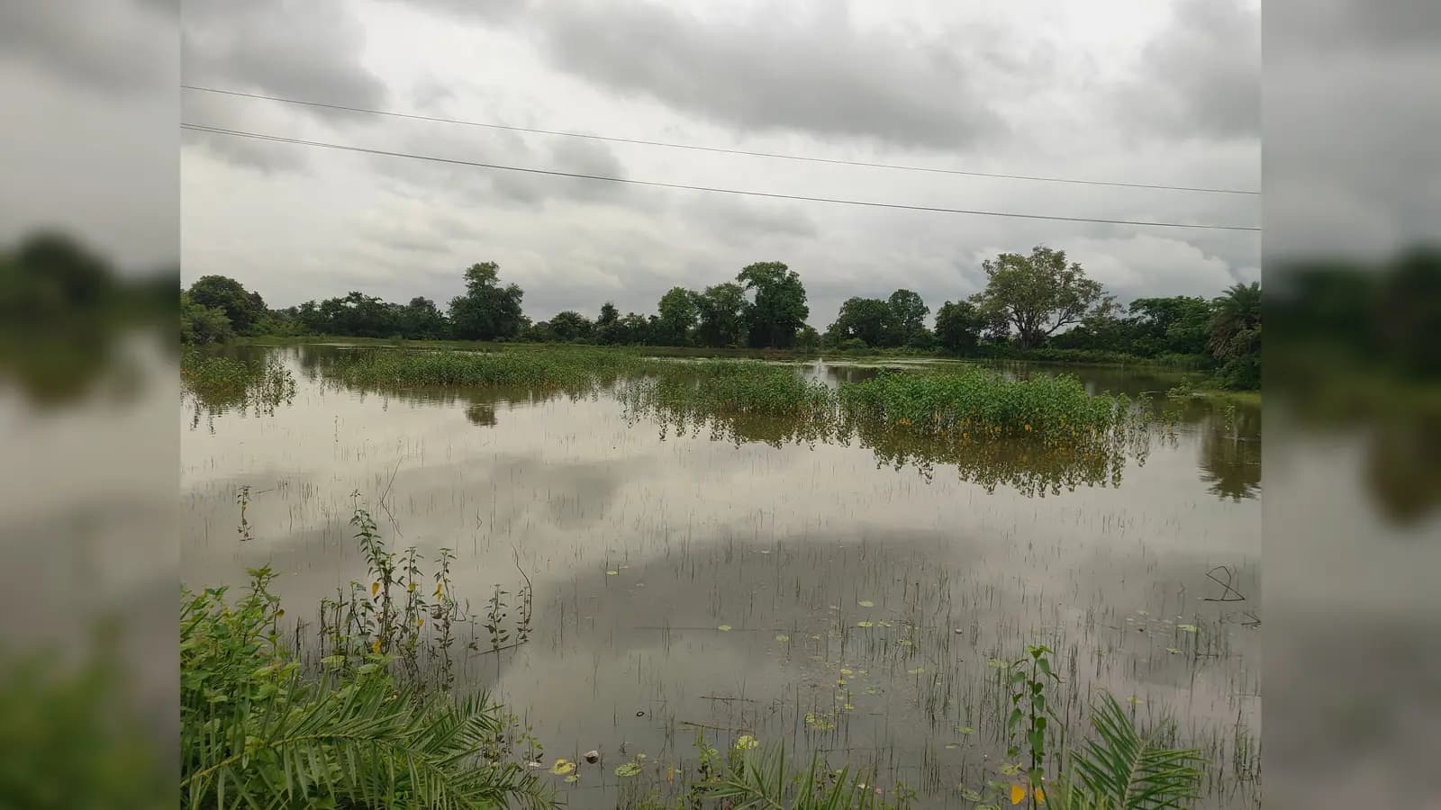 लगातार बारिश से बढ़ा जलस्तर, नदी-तालाबों से दूर रहने की हिदायत