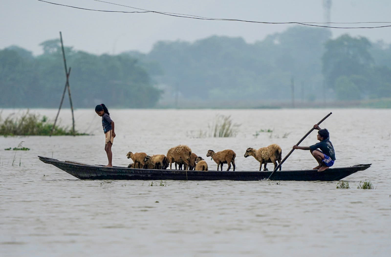 सामान्य होने की उम्मीद