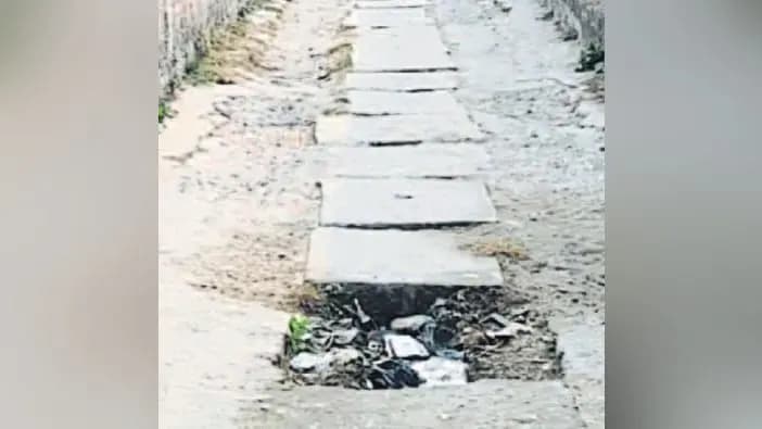 सीवान : महाराजगंज में जलनिकासी व्यवस्था फेल. नाली जाम से वार्ड-4 के लोगों की बढ़ी परेशानी