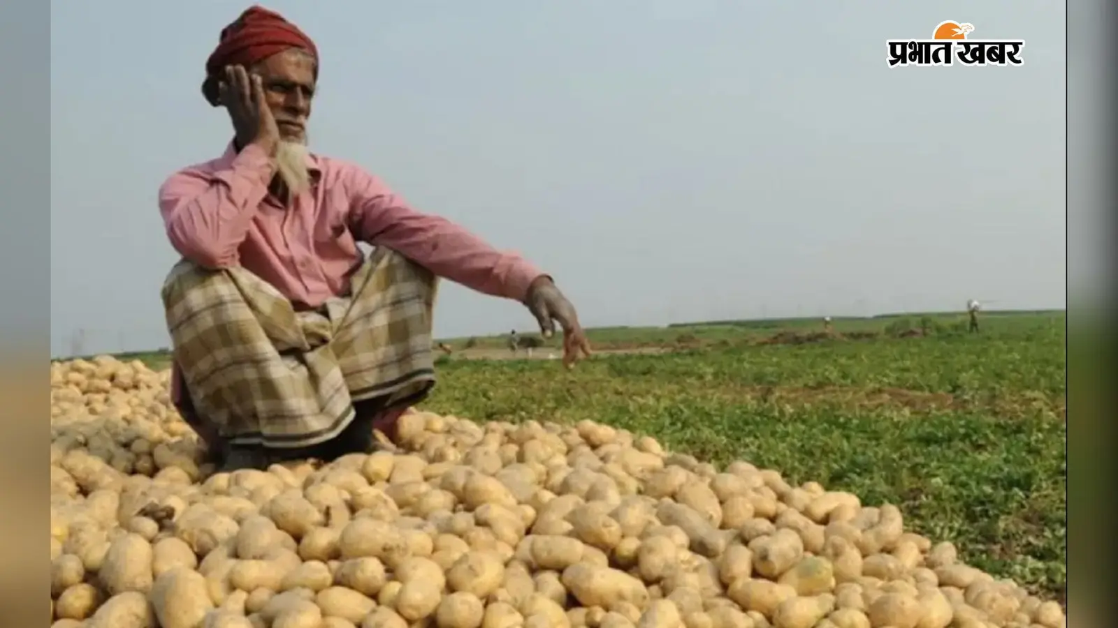 बंगाल में 30 लाख मीट्रिक टन आलू सरप्लस, सरकार देगी निर्यात पर सब्सिडी