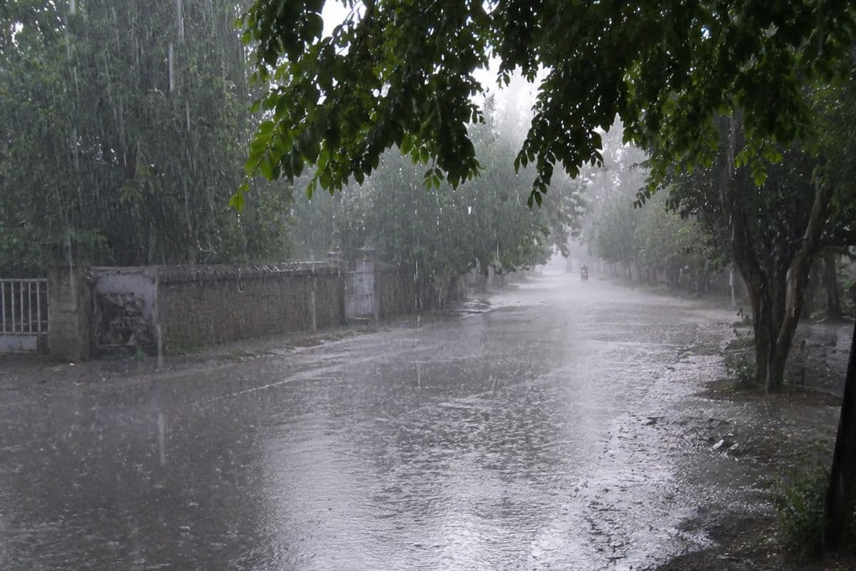 गोपालगंज में आज आंधी, बारिश और वज्रपात का अलर्ट, दोपहर बाद बदलेगा मौसम का मिजाज, IMD का एडवाइजरी जारी गोपालगंज में आज आंधी, बारिश और वज्रपात का अलर्ट, दोपहर बाद बदलेगा मौसम का मिजाज, IMD का एडवाइजरी जारी