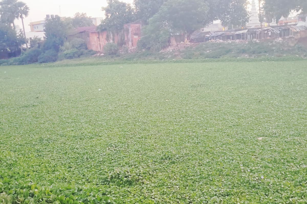 कभी राहगीरों और मवेशियों की प्यास बुझाता था यह तालाब, अब कूड़े का ढेर बनकर खो रहा अपना अस्तित्व कभी राहगीरों और मवेशियों की प्यास बुझाता था यह तालाब, अब कूड़े का ढेर बनकर खो रहा अपना अस्तित्व