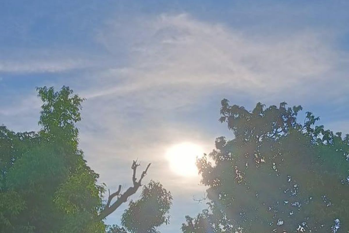 रात में बारिश पर सुबह से तीखी धूप: पूर्णिया में बदला मौसम का मिजाज, उमस से लोग बेहाल