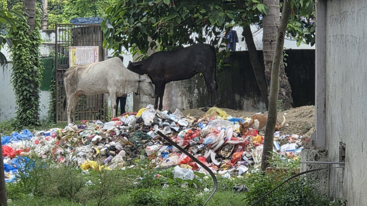 सदर अस्पताल बना बीमारियों का गढ़, ऑक्सीजन प्लांट के पास खुले में फेंका जा रहा बायोमेडिकल कचरा