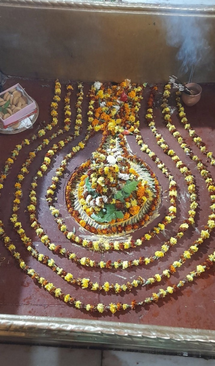 महेंद्रनाथ मंदिर (मेहंदार धाम) के गर्भगृह में भगवान शिव के शिवलिंग का आकर्षक पुष्प श्रृंगार श्रद्धालुओं की आस्था का केंद्र है. गेंदा और अन्य रंग-बिरंगे फूलों से शिवलिंग को कलात्मक रूप से सजाया गया है, जिससे पूरा गर्भगृह भक्तिमय और मनमोहक दिखाई देता है