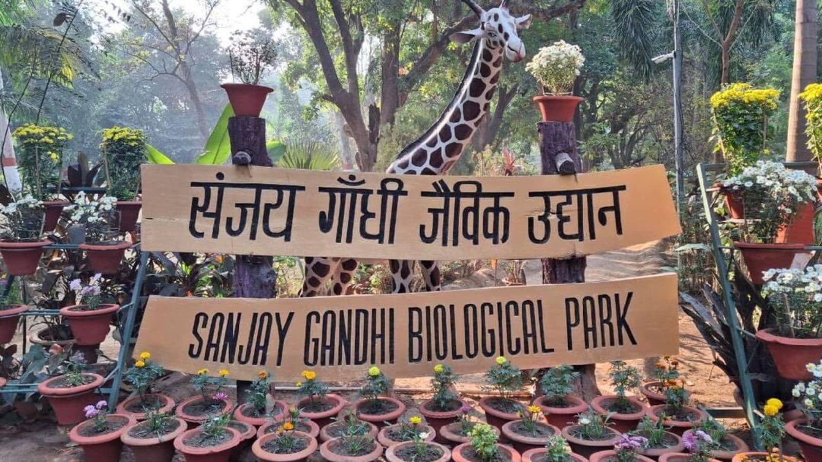 प्रकृति और वन्यजीवों से भरपूर संजय गांधी जैविक उद्यान पटना
