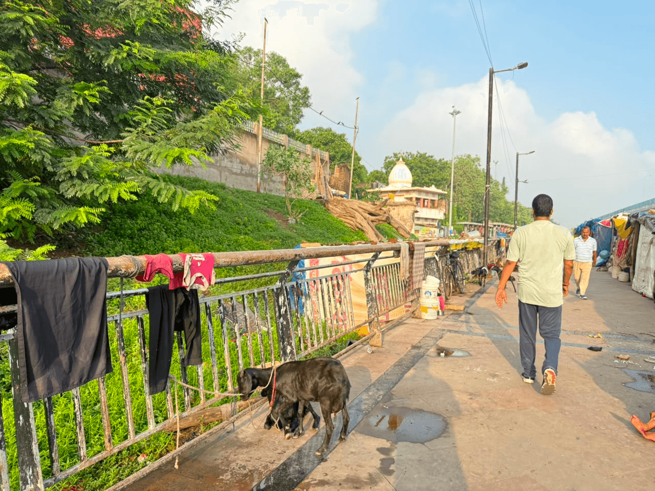 व्यावसायिक गतिविधियों और पशुपालन से बदहाली