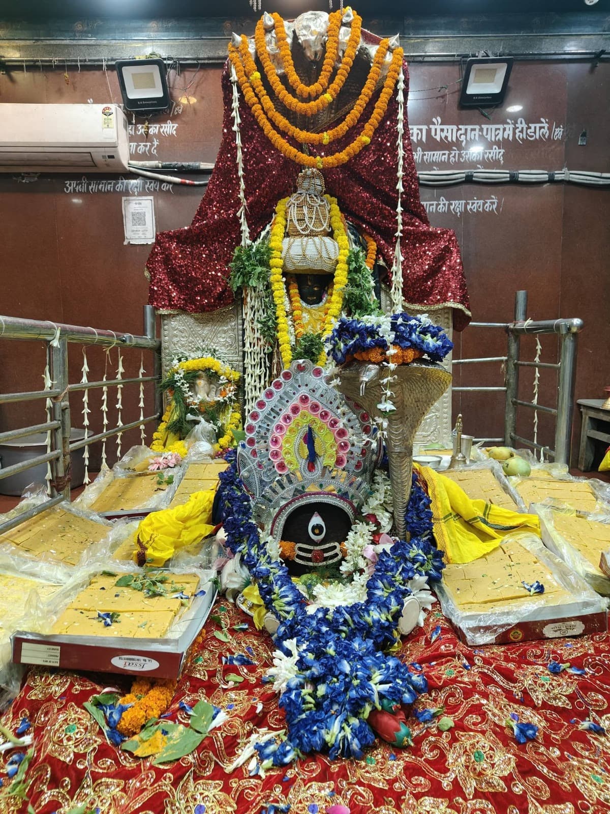सावन के पावन महीने में बाबा हरिहरनाथ का अपराजिता के फूलों से भव्य श्रृंगार किया गया है. नीले अपराजिता के फूलों से सजा बाबा का दिव्य स्वरूप बेहद मनमोहक नजर आ रहा है.