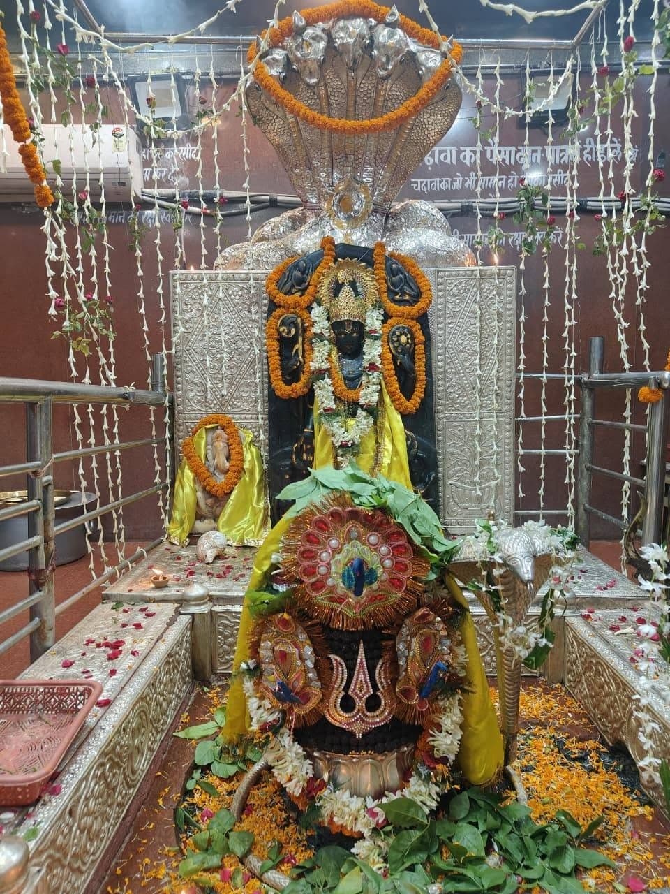 सावन के पावन महीने में बाबा हरिहरनाथ का बेलपत्र से विशेष श्रृंगार किया गया है. बेलपत्र की हरियाली और फूलों की सजावट के बीच बाबा का दिव्य स्वरूप बेहद मनमोहक नजर आ रहा है.