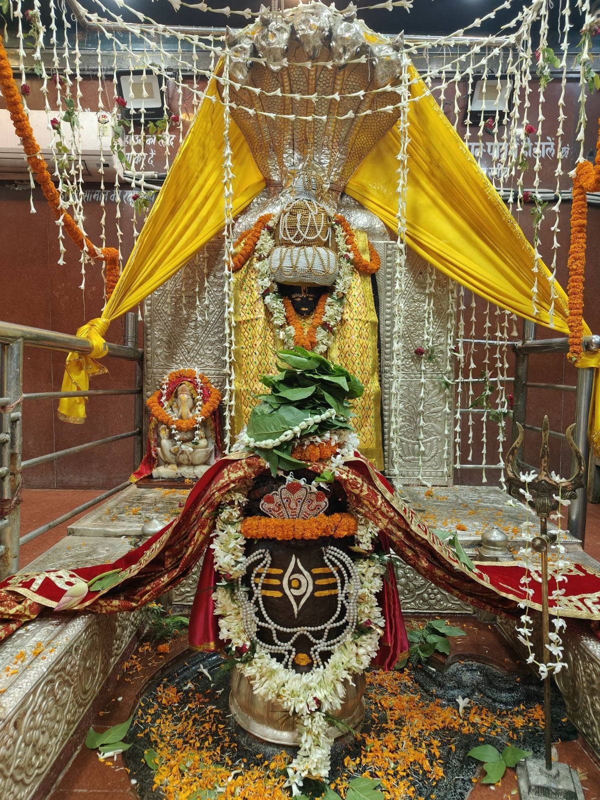 बाबा के शिवलिंग को बेलपत्र, सफेद फूलों की मालाओं और मोतियों से विशेष रूप से सजाया गया है, जबकि पीछे भगवान विष्णु के स्वरूप को भी फूलों और आभूषणों से अलंकृत किया गया है. पीले वस्त्रों और लाल चुनरी से सजी यह पूरी झांकी बेहद दिव्य नजर आ रही है.