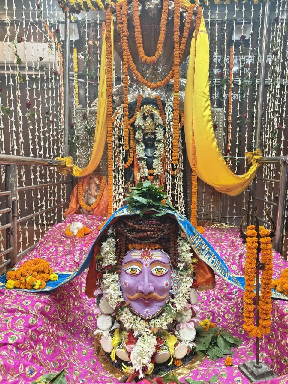 बाबा हरिहरनाथ मंदिर में भगवान शिव की शिवलिंग को अत्यंत सुंदर, रंगीन मुखौटा से सुसज्जित किया गया है. मुखौटे का रंग हल्का बैंगनी/गुलाबी है, जिस पर सुंदर आँखें, मूँछें और माथे पर त्रिपुंड तथा तिलक बना हुआ है. शिवलिंग और मुखौटे को रुद्राक्ष की मालाओं, ताजे सफेद फूलों और गेंदे के फूलों से बहुत ही मनमोहक रूप से सजाया गया है.