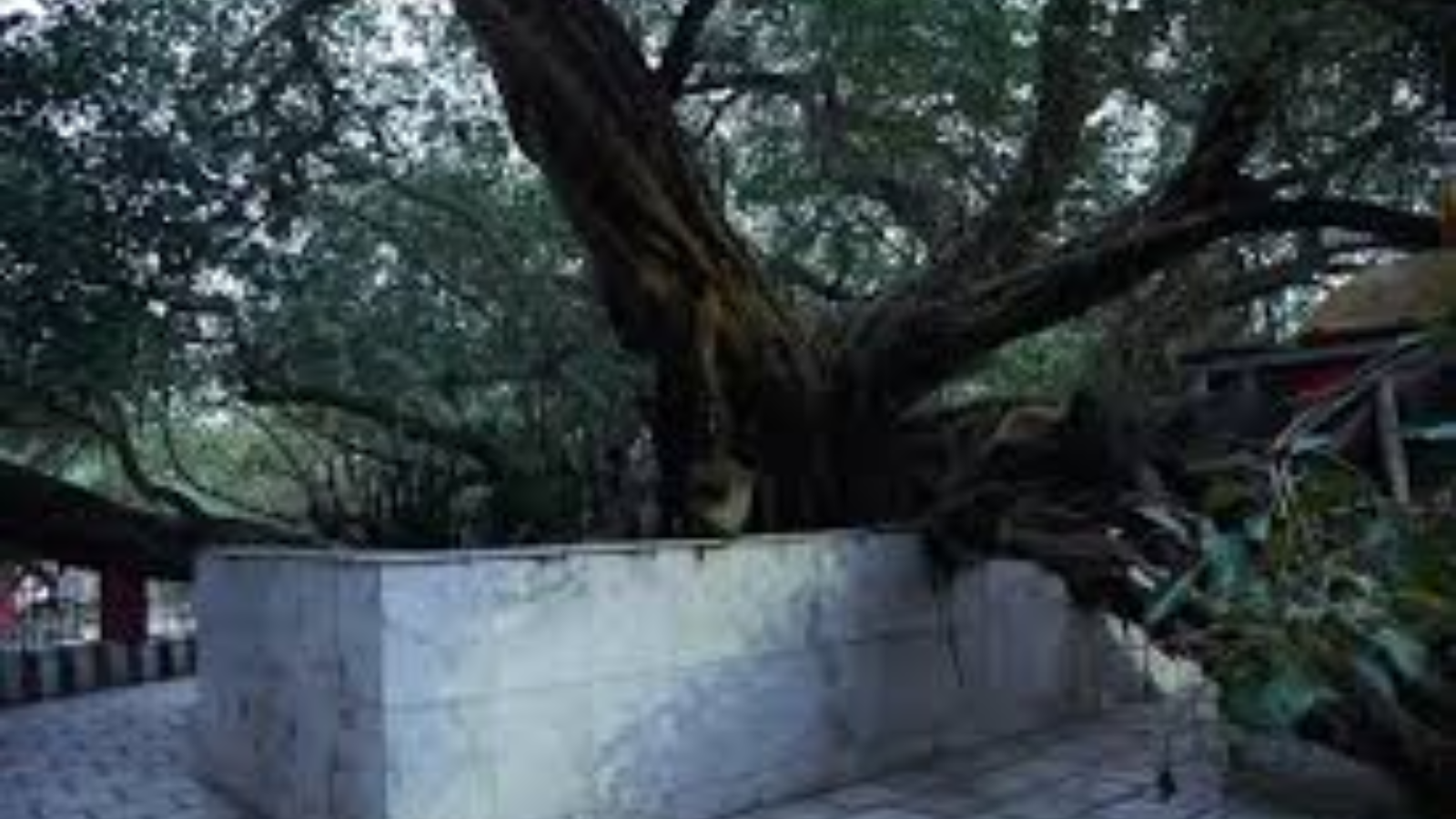 पंथ पाकर, सीतामढ़ी