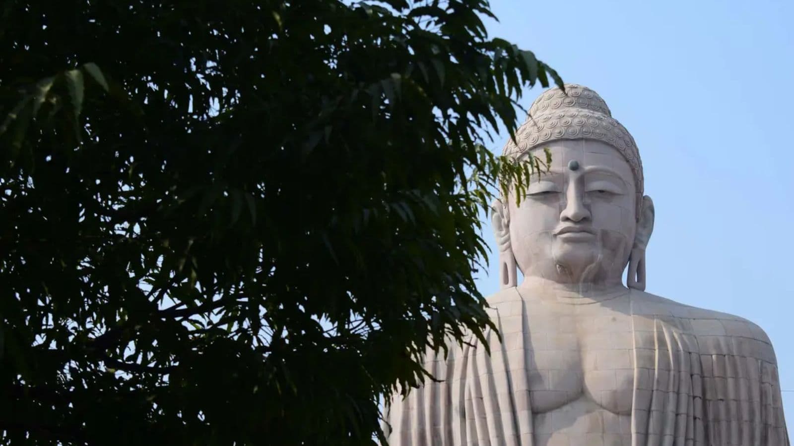 ध्यान मुद्रा में बैठे भगवान बुद्ध की शांत छवि