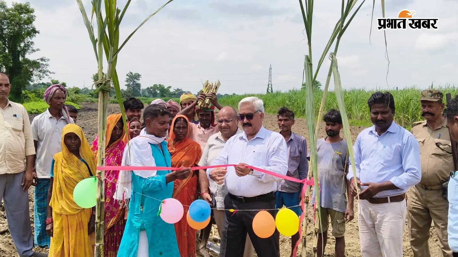 नरकटियागंज में पहली बार मानसून में रोगमुक्त गन्ने की बुआई, किसानों को बेहतर आमदनी की उम्मीद