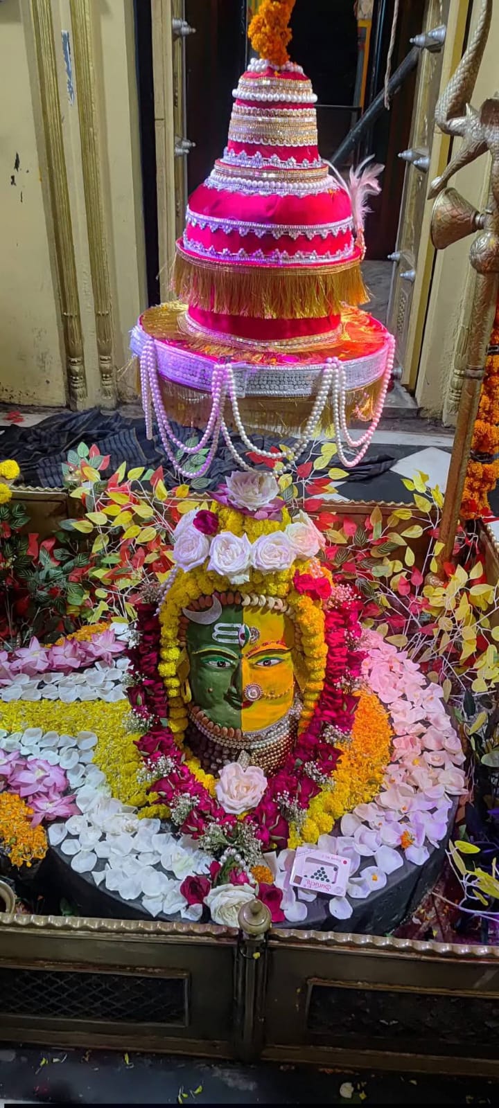 रोशनी और फूलों से जगमगाया पिउनीबाग