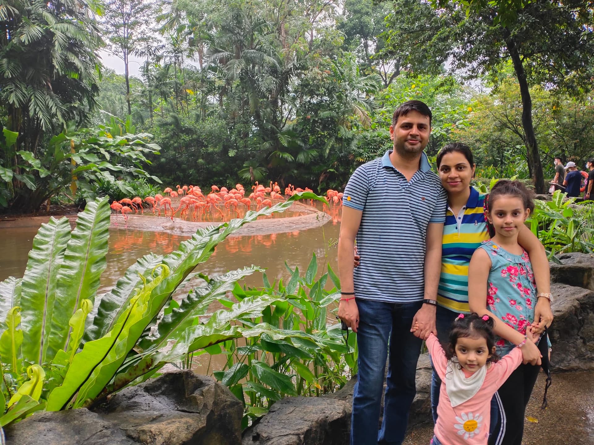 undefined