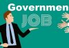 Government Job