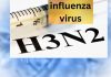 H3N2 Influenza 1 1