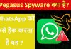 What Is Pegasus Spyware