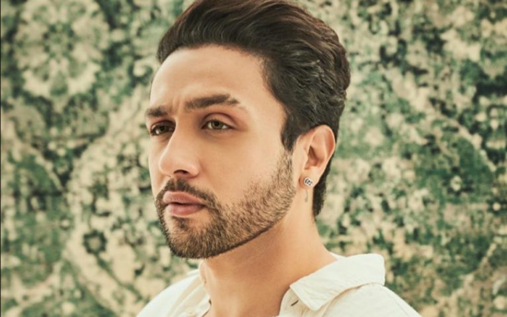 Ashram के चौथे सीजन पर आया बड़ा अपडेट, अध्ययन सुमन ने किया खुलासा 1 Adhyan Suman