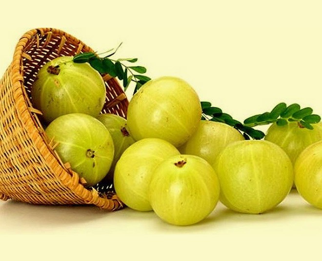 amla benefits and uses