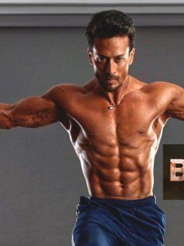 Cropped Baaghi 4