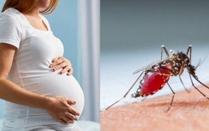 dengue in pregnant ladies know symptoms and treatment