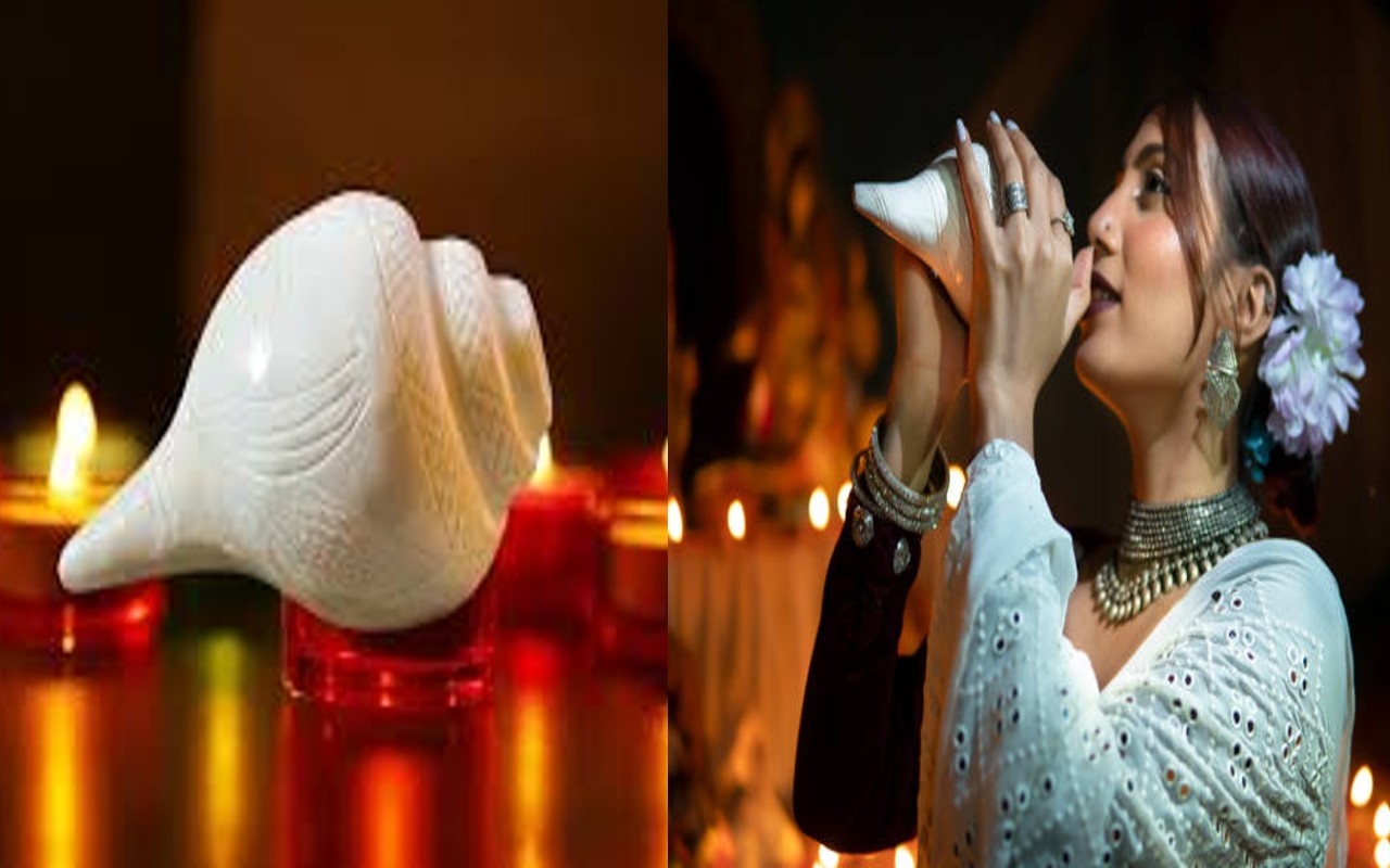 Many Benefits Of Keeping Conch Shell At Home