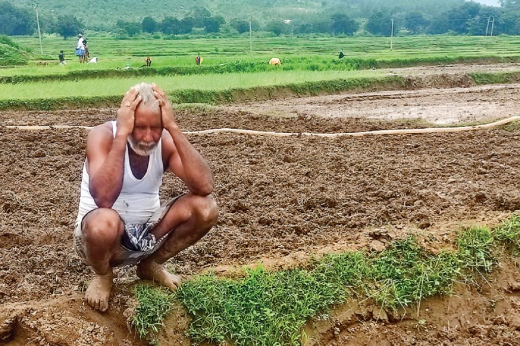 झारखंड सरकार को 16500 करोड़ रुपये करना पड़ सकता है सरेंडर, खर्च के मामले में कृषि विभाग फिसड्डी 2 Jharkhand Farmers 3