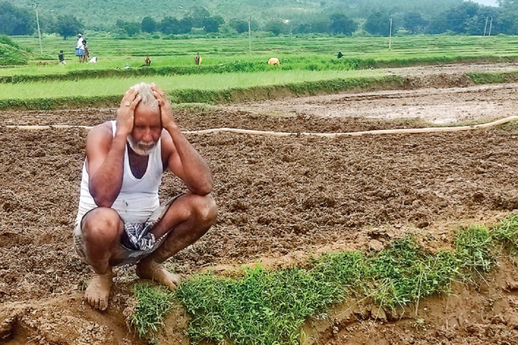 Jharkhand Farmers 3