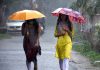 Ranchi Rain Weather Forecast Jharkhand