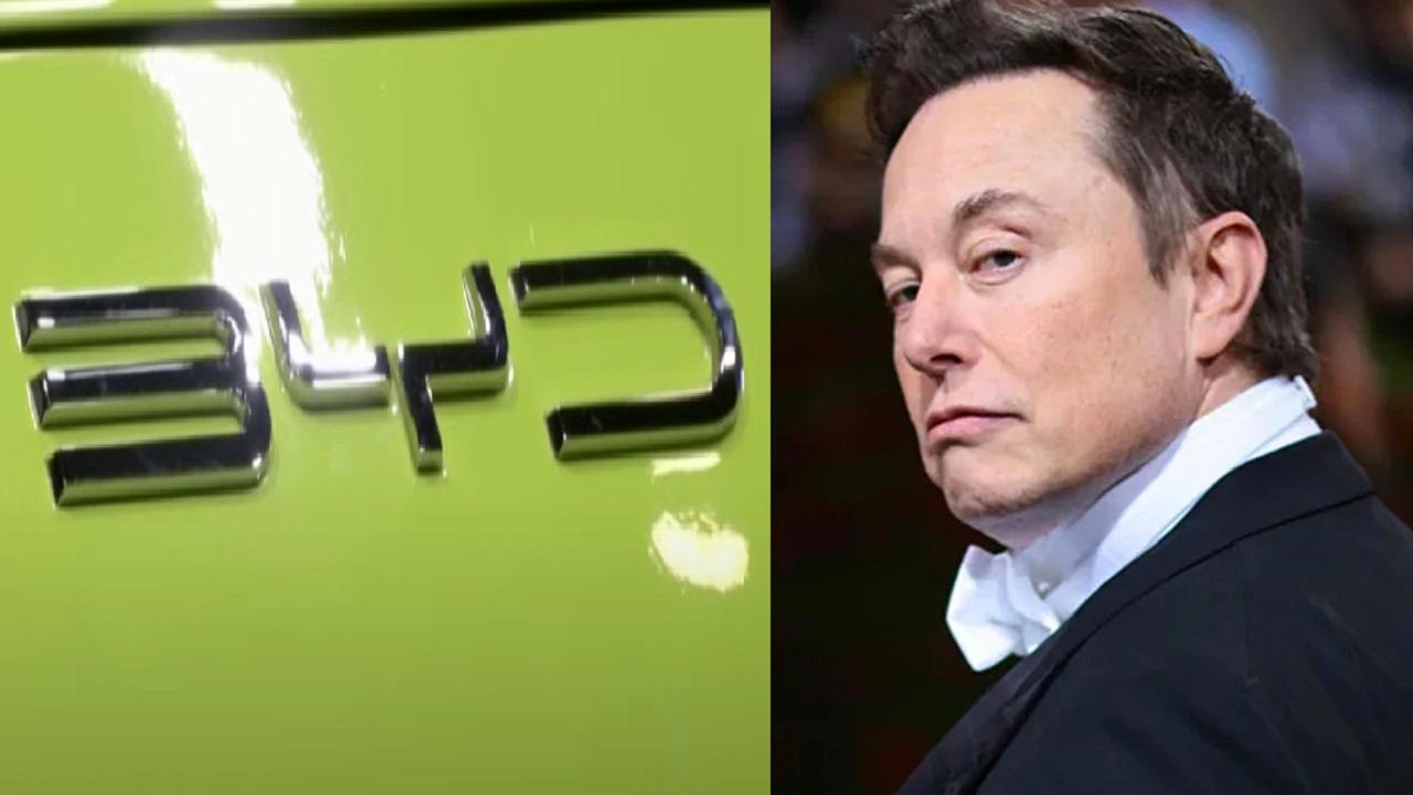 Byd Elon Musk